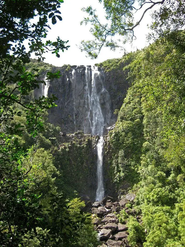 Wairere Falls, New Zealand