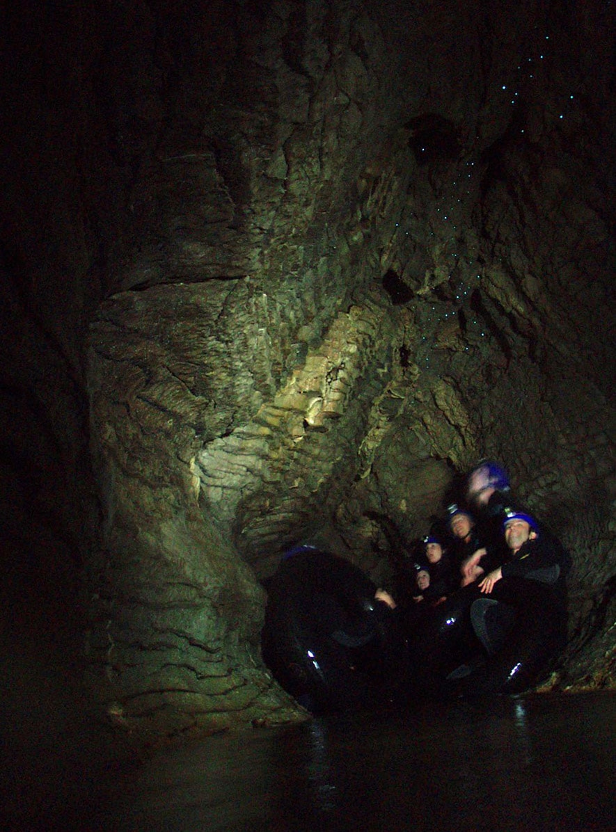 Glowworms in one of Waitomo Caves, New Zealand