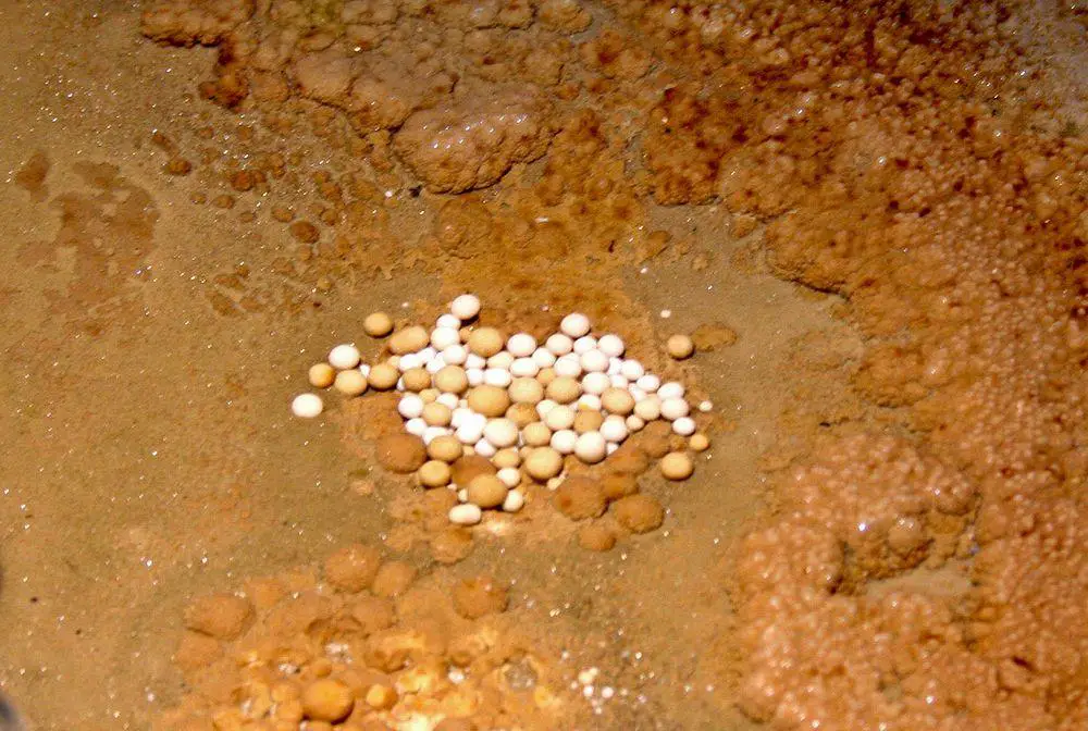 Cave pearls in Yagodina Cave, Bulgaria