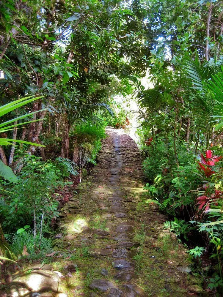 Ancient footpath, Yap in Micronesia