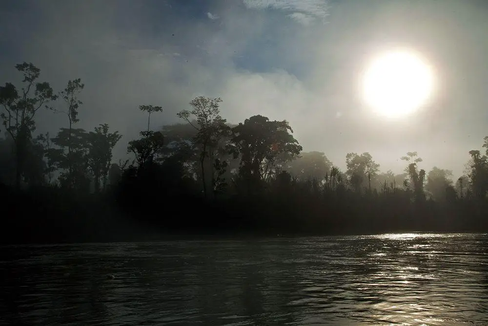 The mysterious Yasuni forest, Ecuador