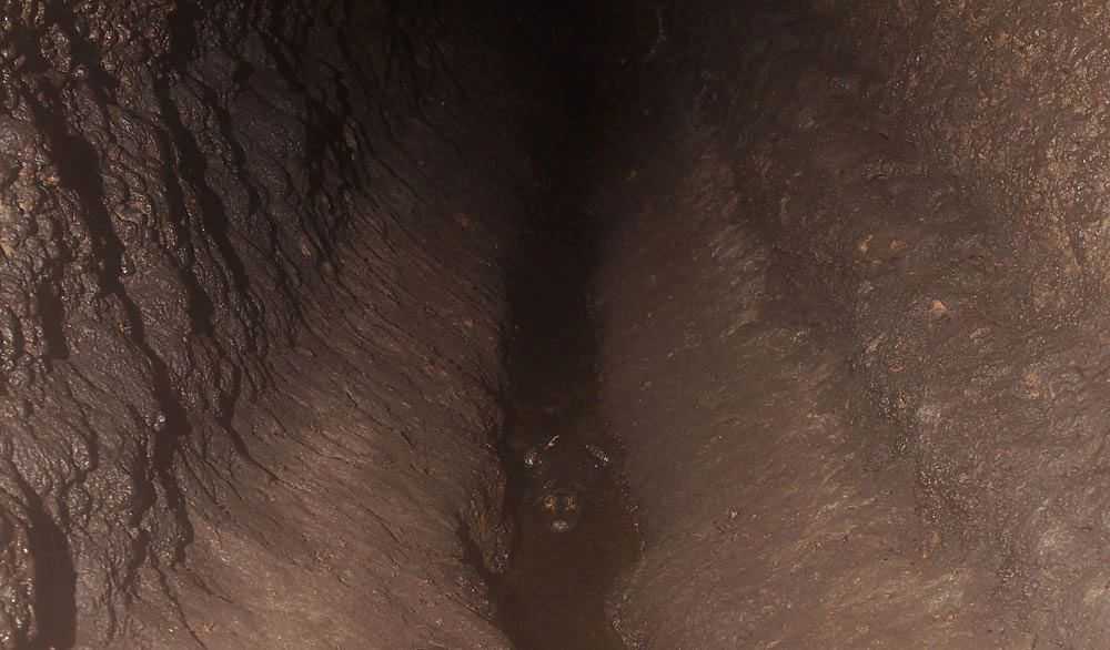 Crocodile in Abanda Caves