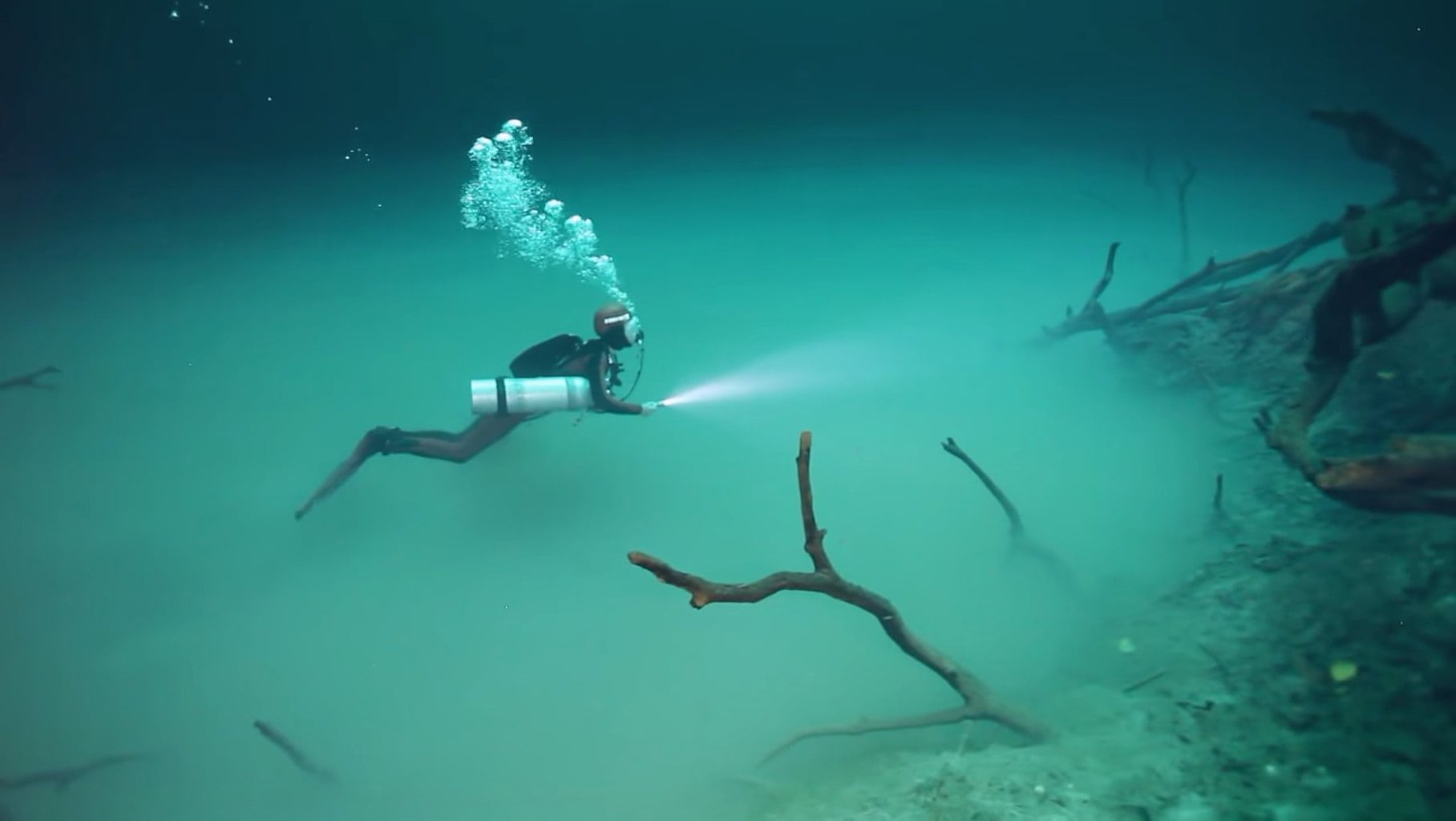 Diving in Cenote Angelita