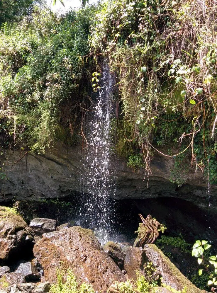 Waterfall ar the entrance in Kitum Cave, Kenya
