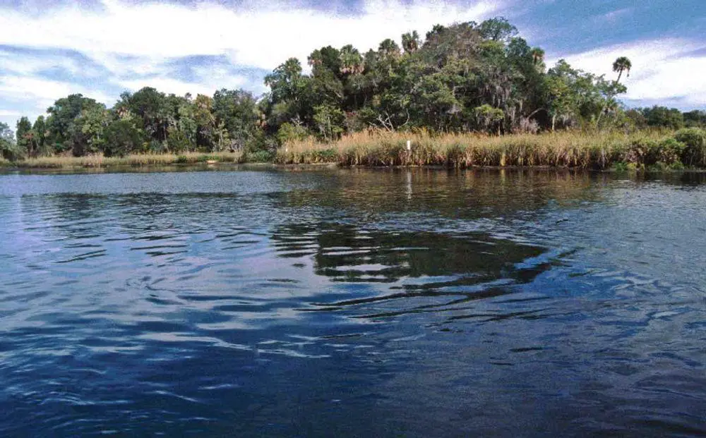 Tarpon Hole or King's Spring, Florida