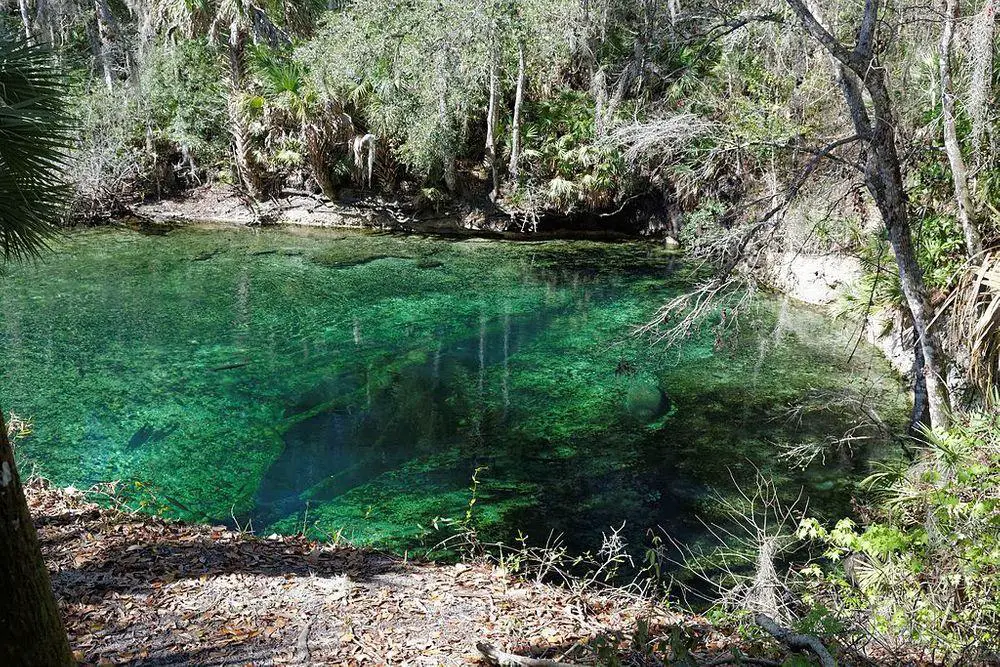 Volusia Blue Spring. The fissure - cave is visible.