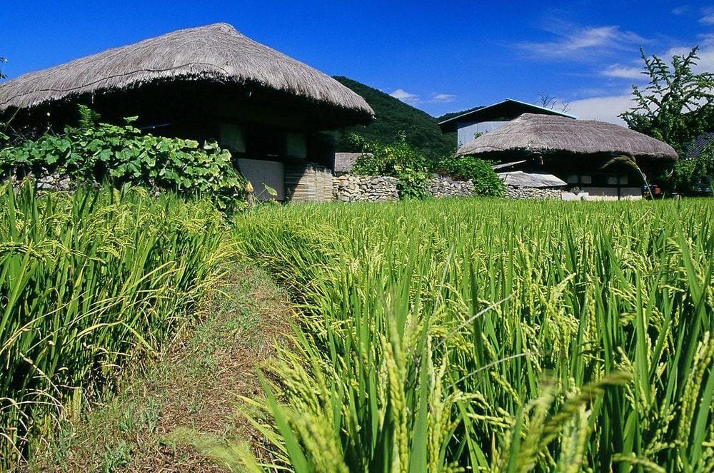 Oeam Village