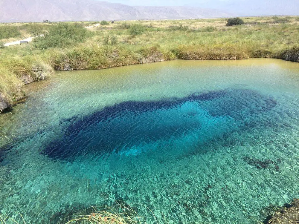 Cuatrociénegas, Poza Azul