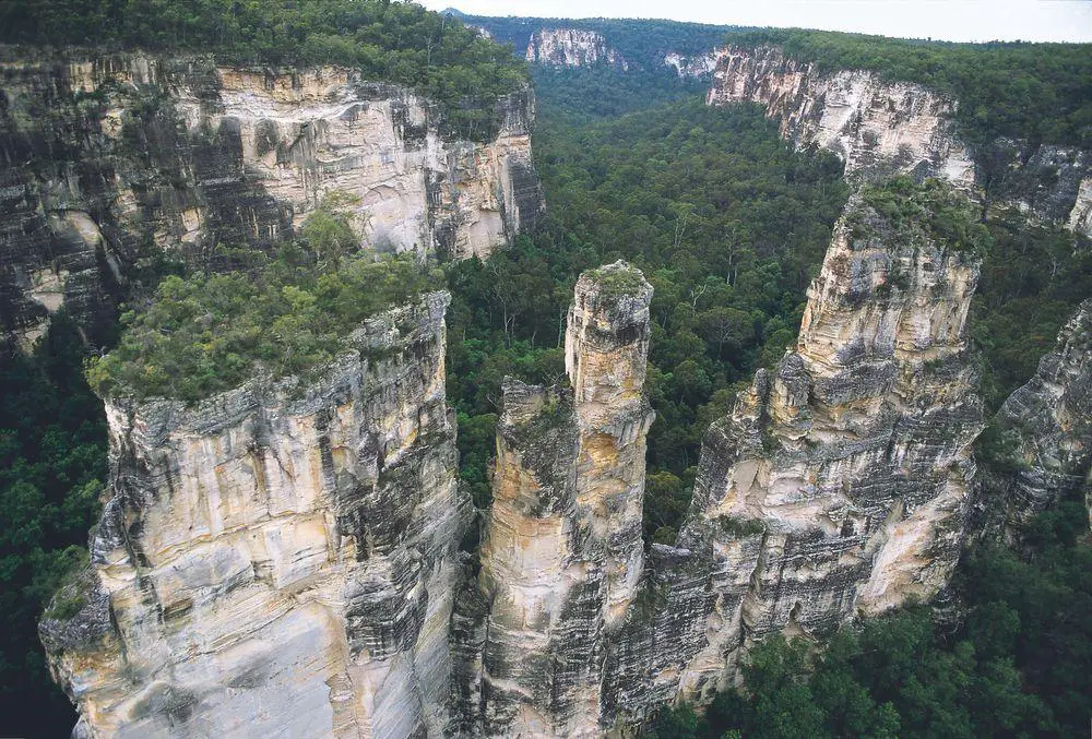 Carnarvon Gorge