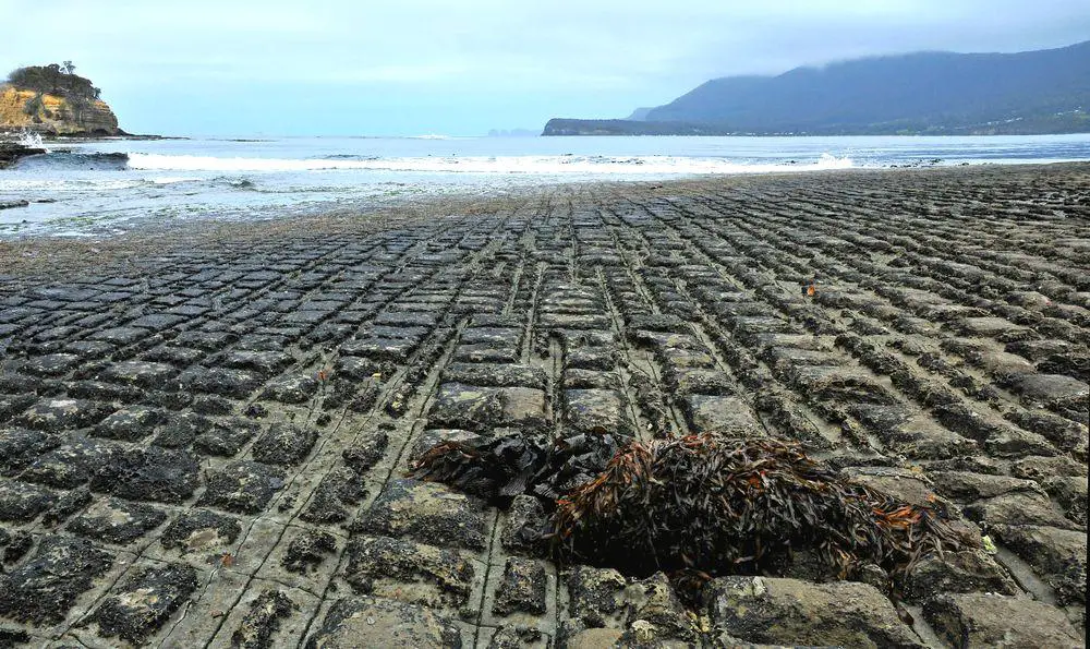 Eaglehawk Neck tesselated pavement