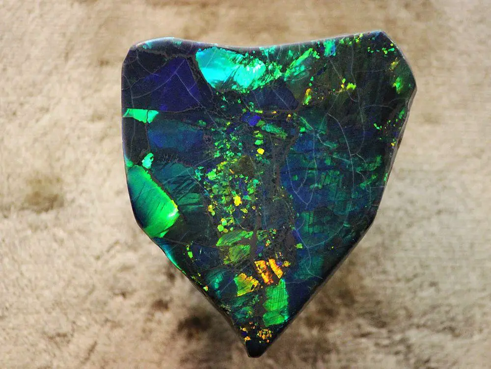"Harlequin Prince Opal" - exceptional black opal from Lightning Ridge Opal Fields