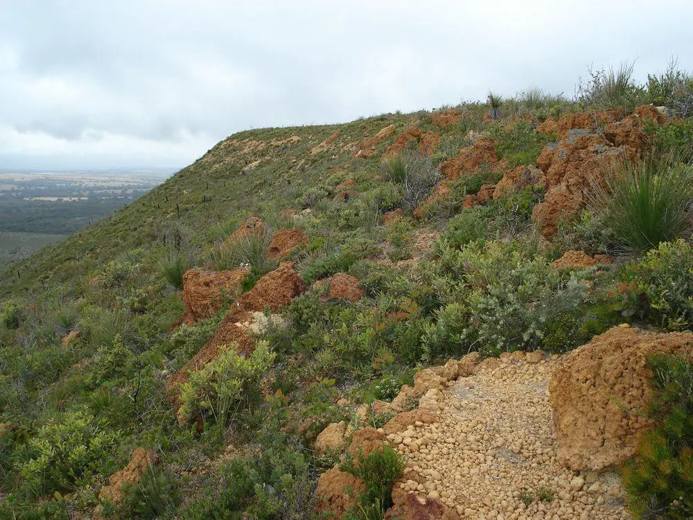 Mont Lesueur with laterite boulders