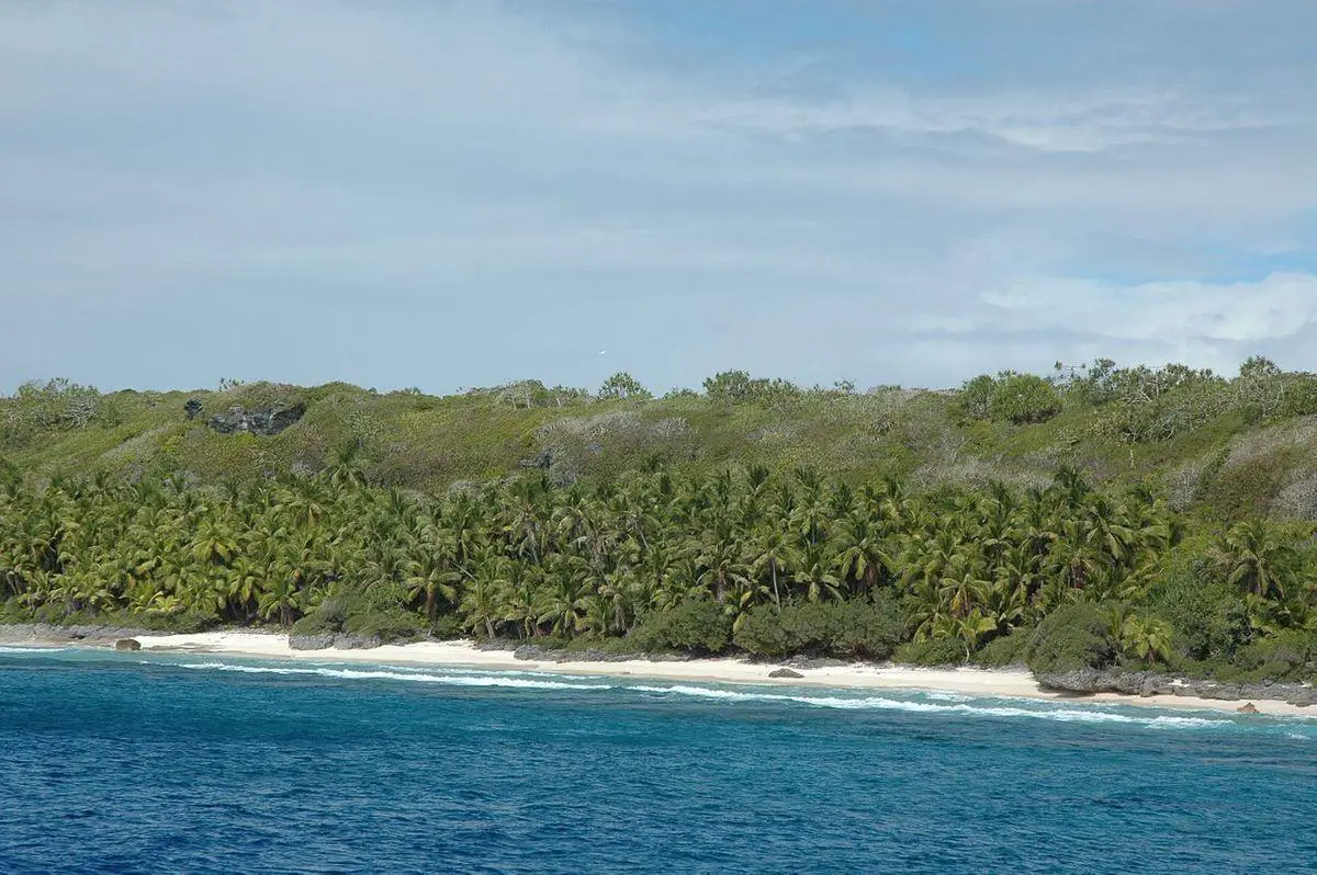 Pristine forest on Henderson Island