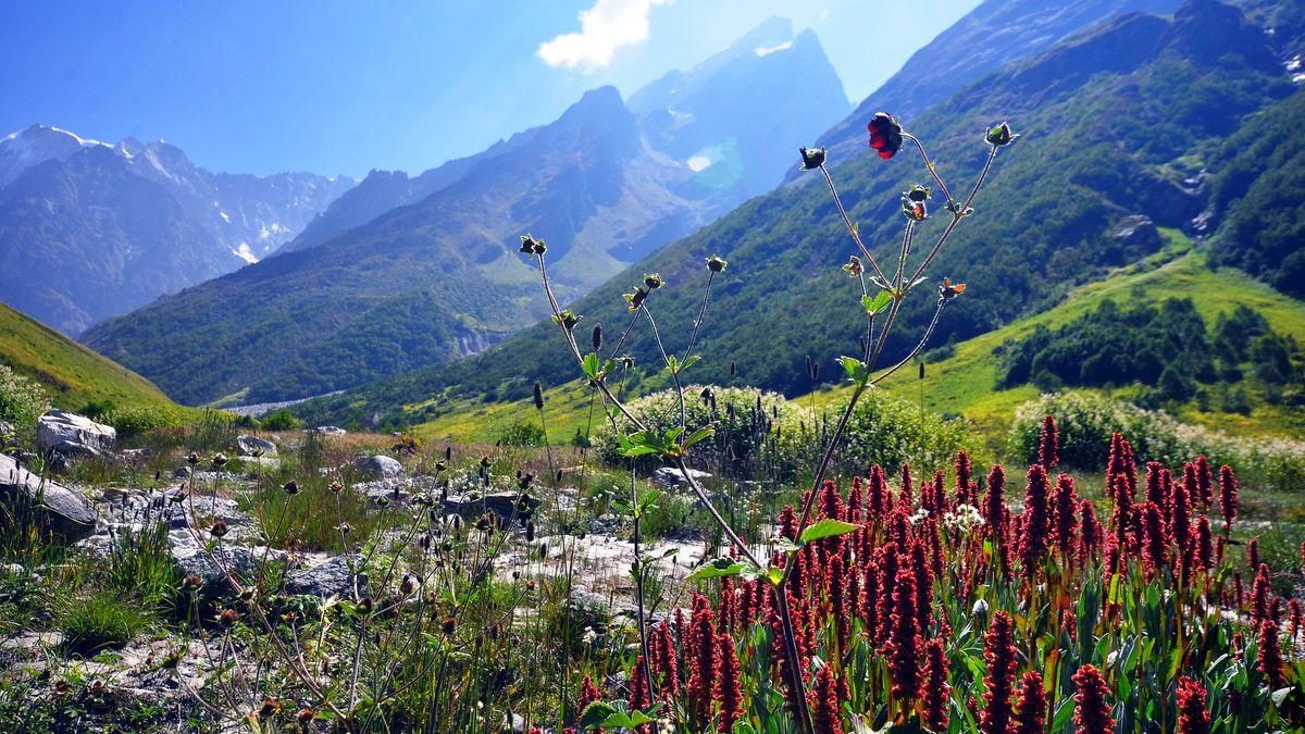 Valley of Flowers, Uttarakhand