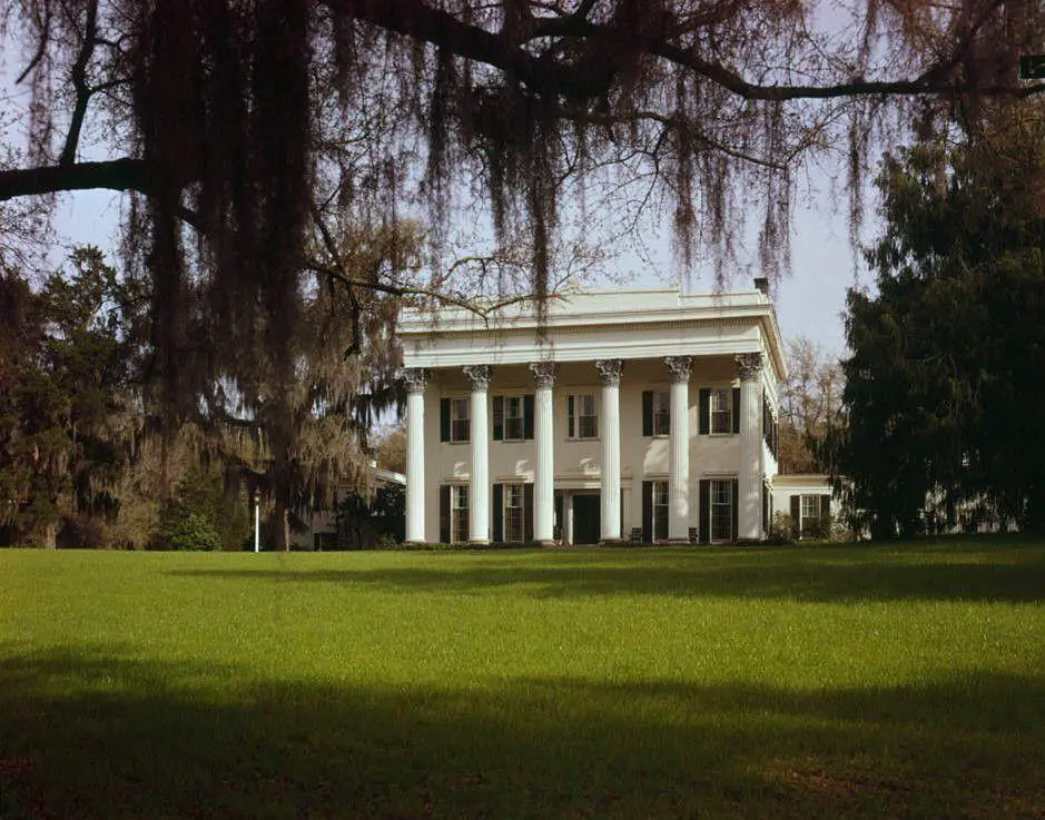 Millford Plantation