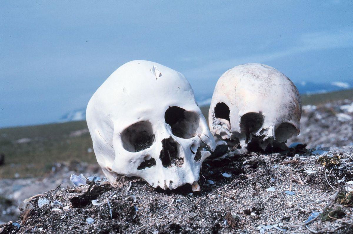 Skulls in Punuk Islands