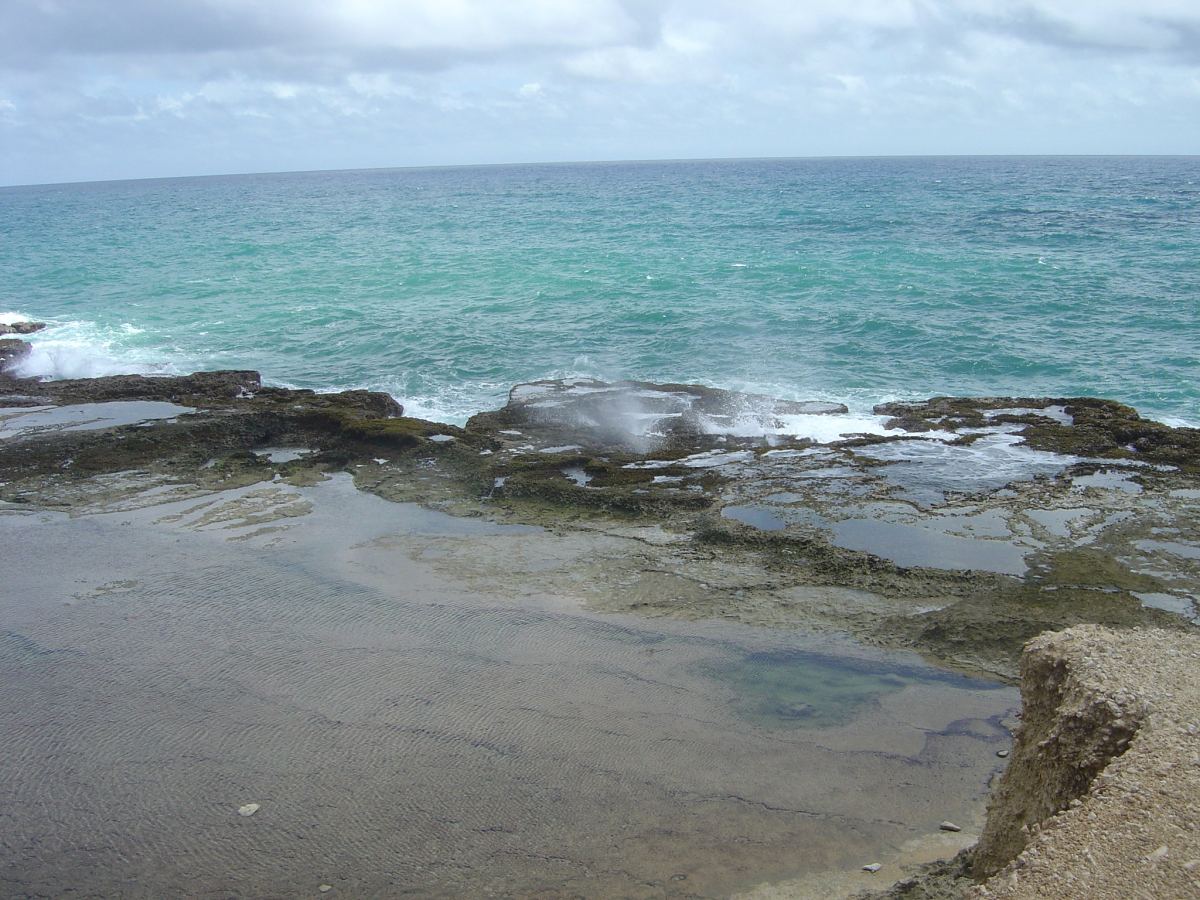 Limestone terraces at Little Bay, Barbados