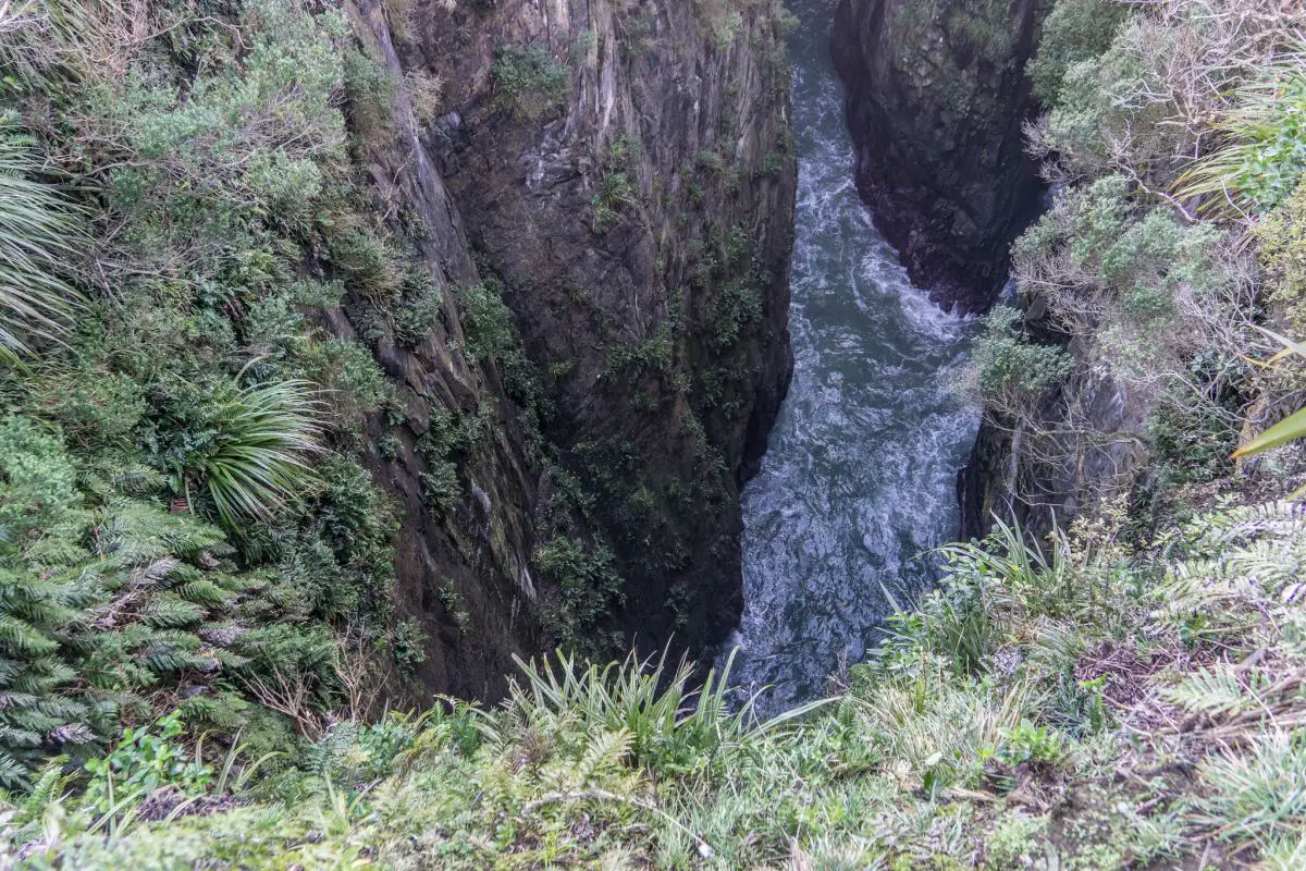 Jack's Blowhole in New Zealand