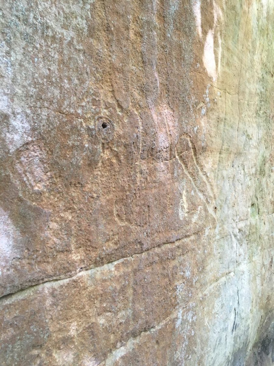 Petroglyphs in Piney Creek Site