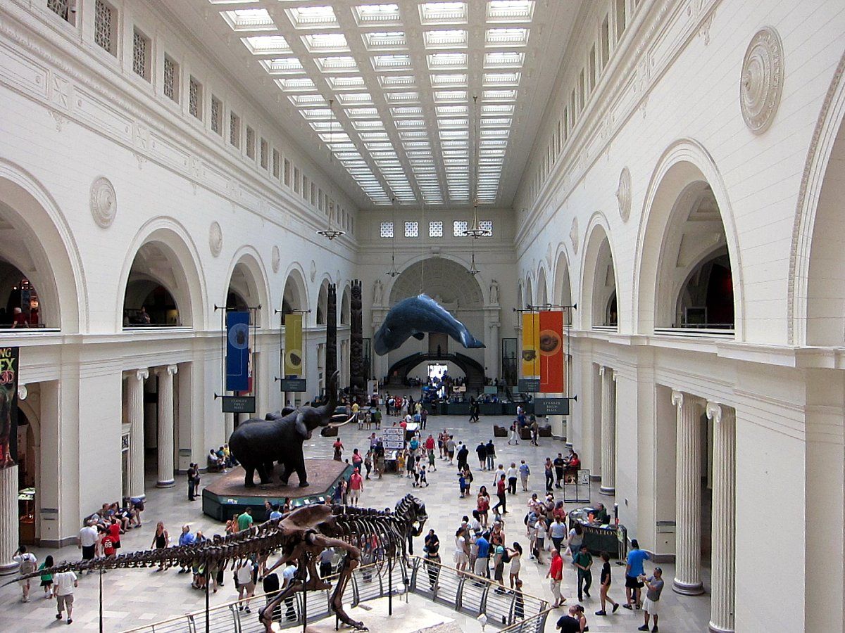 Field Museum of Natural History, the main hall