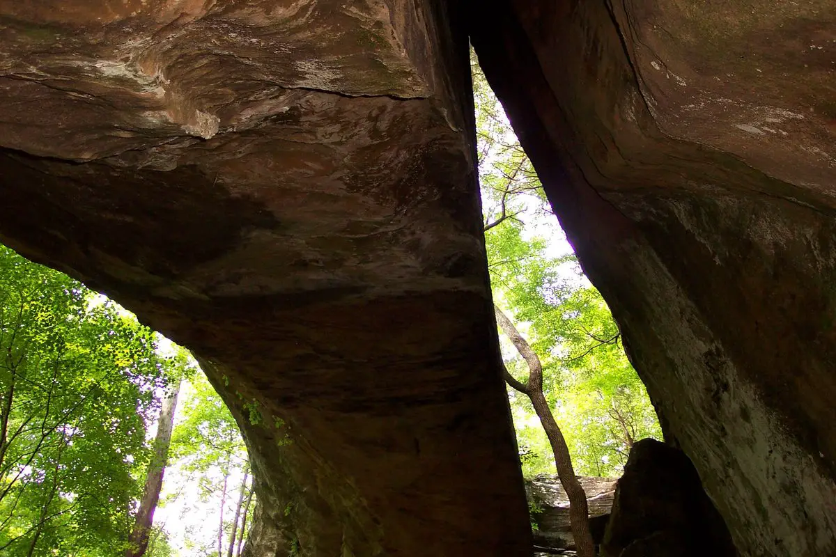 Under the Natural Bridge in Bell Smith Springs