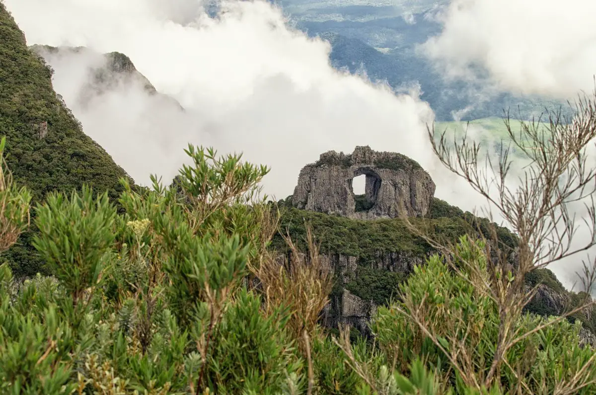 Pedra Furada - natural arch with forest in it