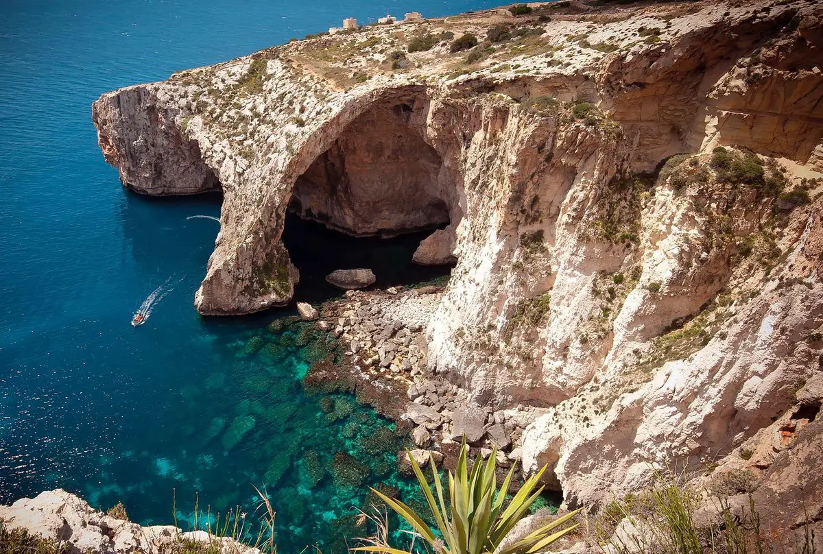 Blue Grotto, Malts