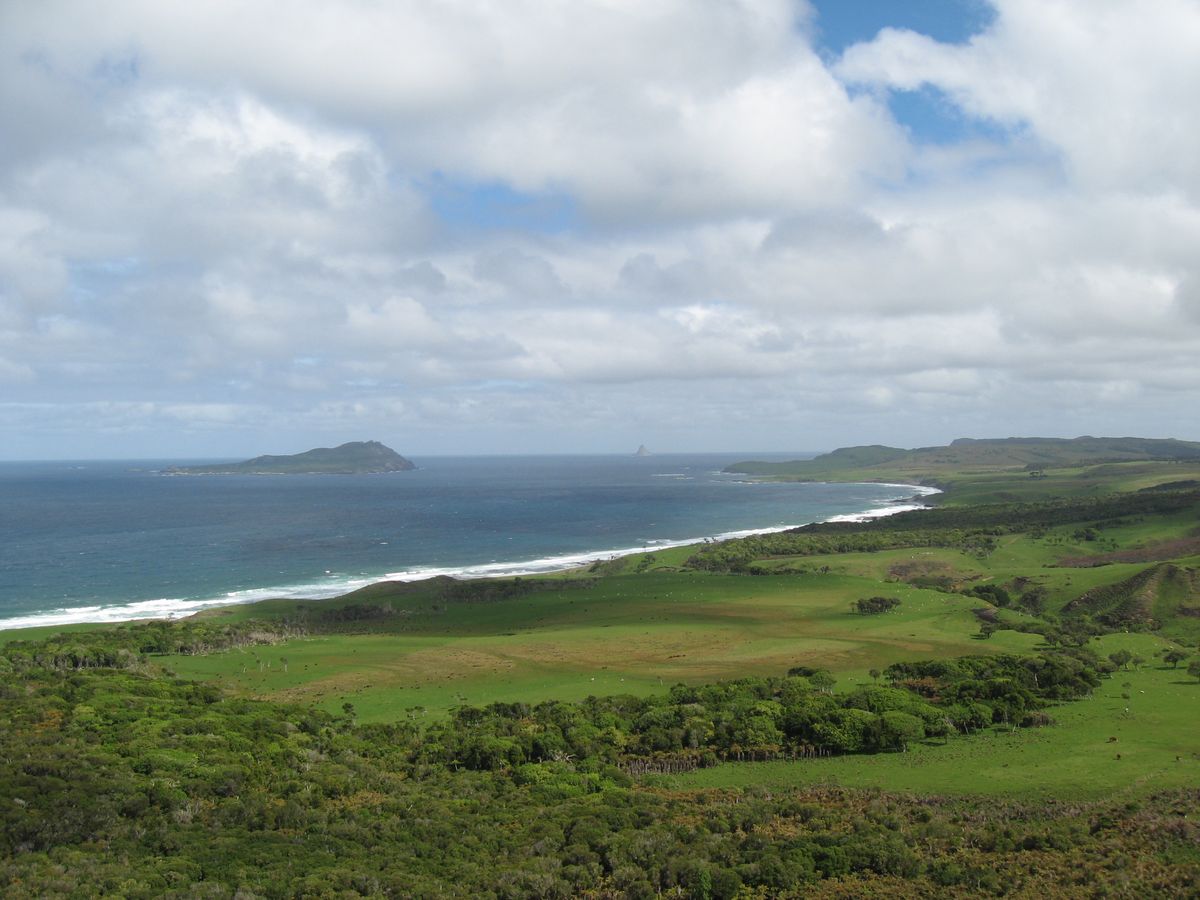 Pitt Island, Chatham Islands