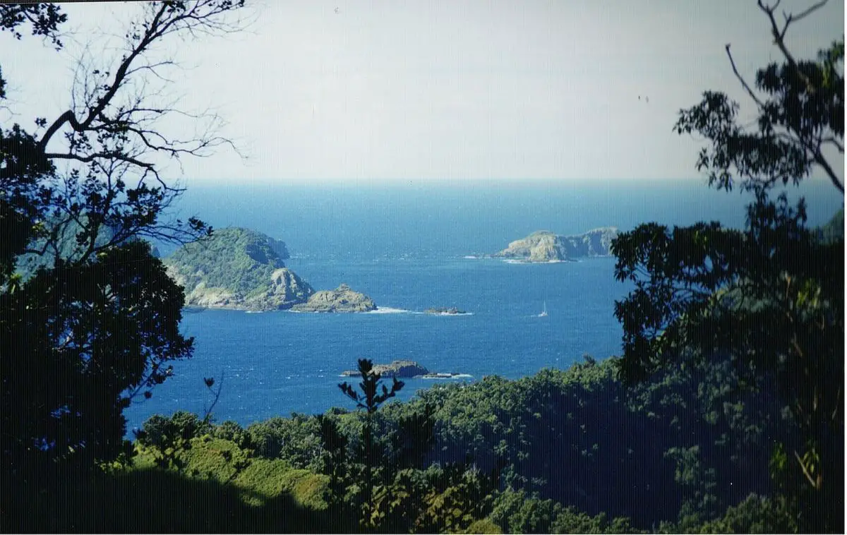 View in Raoul Island, Kermadec Islands