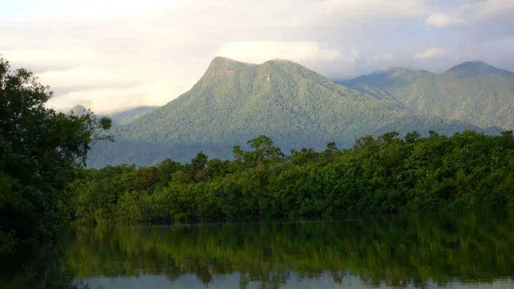 Daintree Rainforest - the oldest rainforest in the world