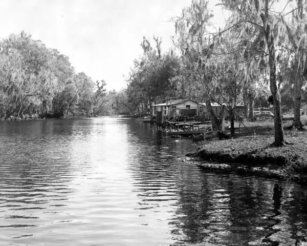 Aucilla River at Nutall Rise