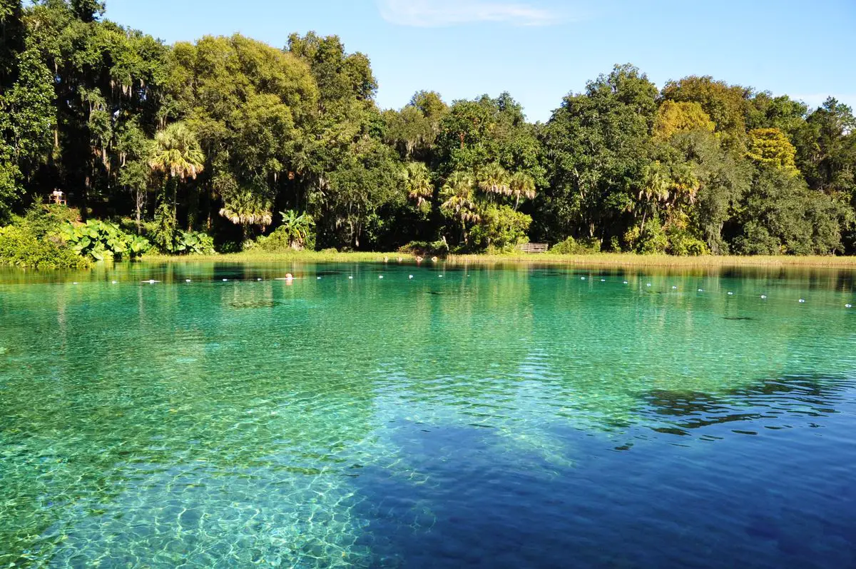Lucid water of Rainbow Springs, Florida