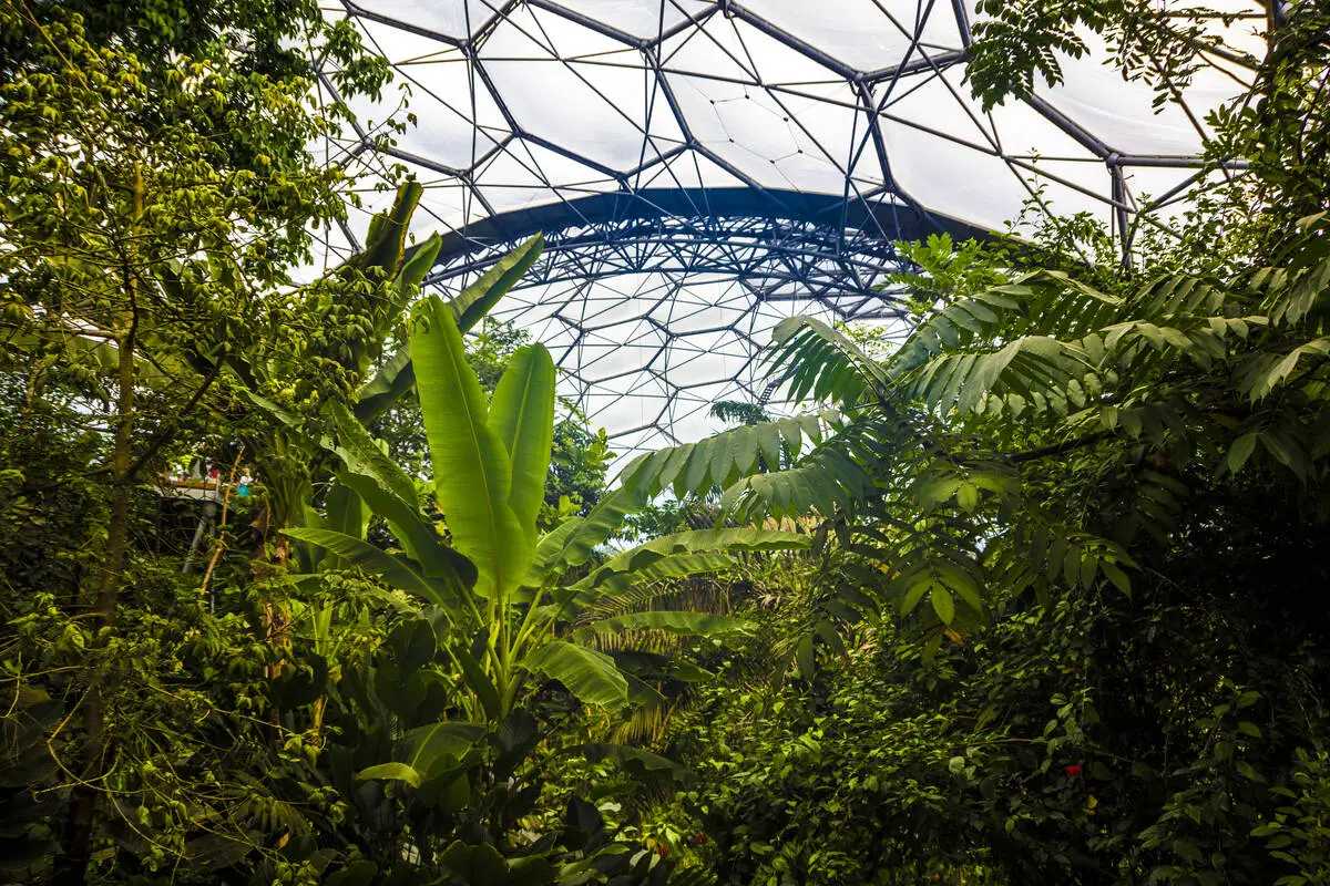 Jungle inside the Eden Project domes