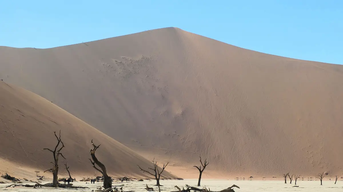 Big Daddy dune rises over Deadvlei, Namibia