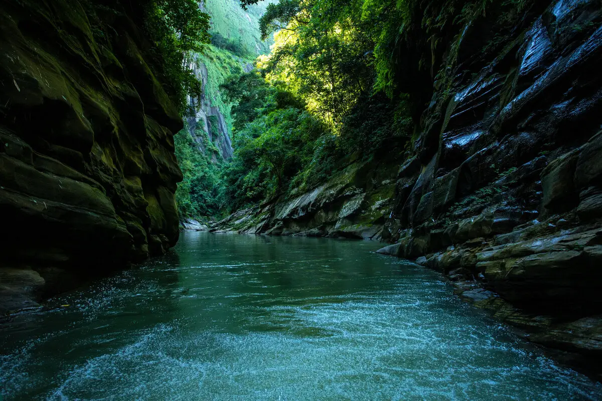 Nature in Bangladesh