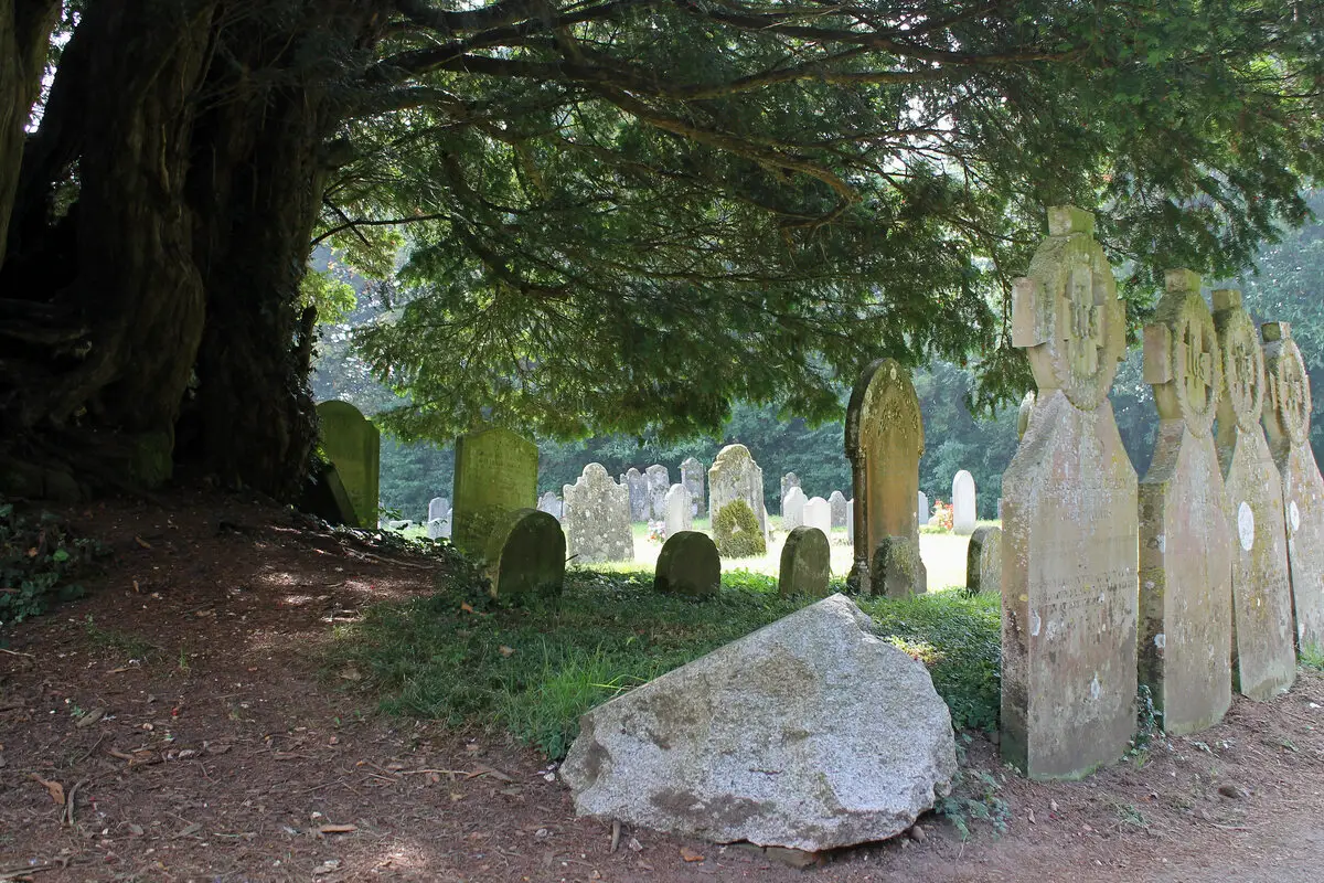 Breamore Yew and cemetery