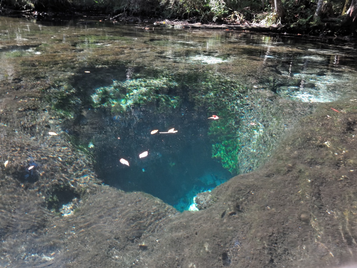 One of the holes in Chassahowitzka Springs
