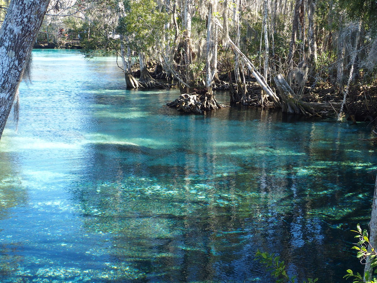 Chassahowitzka Springs