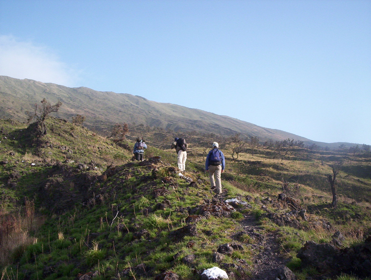 Mount Cameroon and tourists