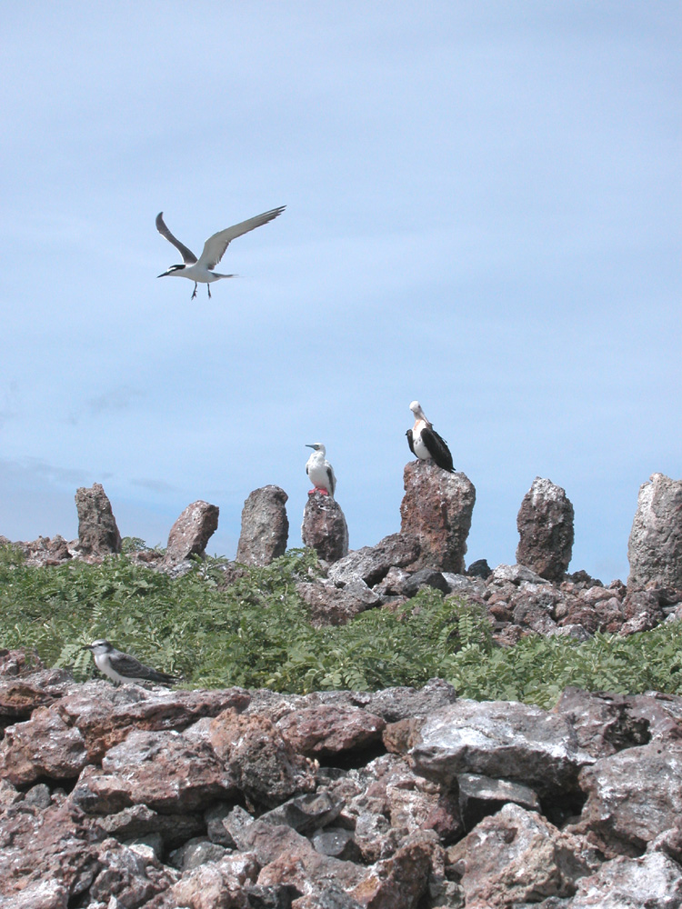 Necker Island, ancient standing stones