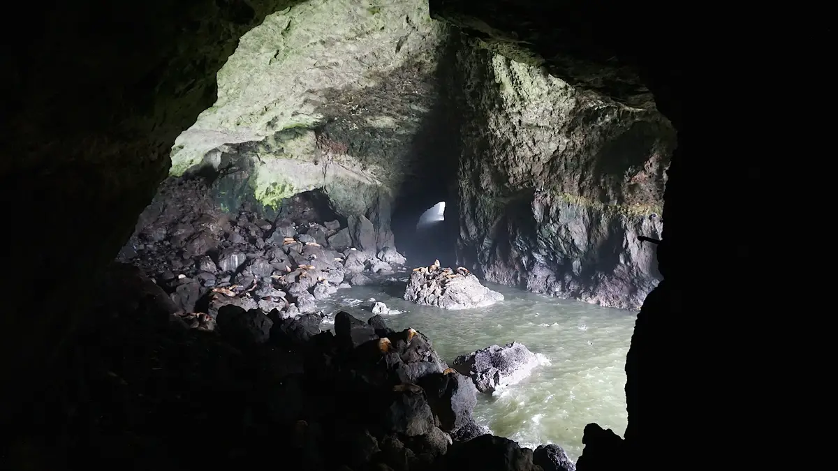 Sea Lion Caves, Oregon