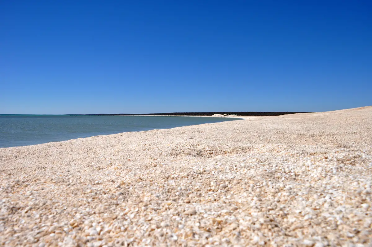 Shell Beach, Western Australia