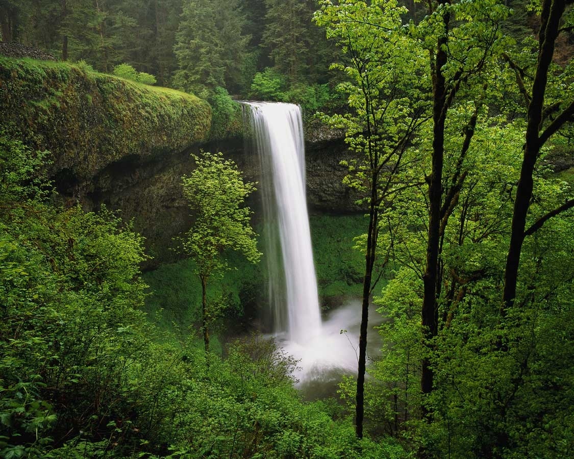 South Falls in Silver Falls State Park.