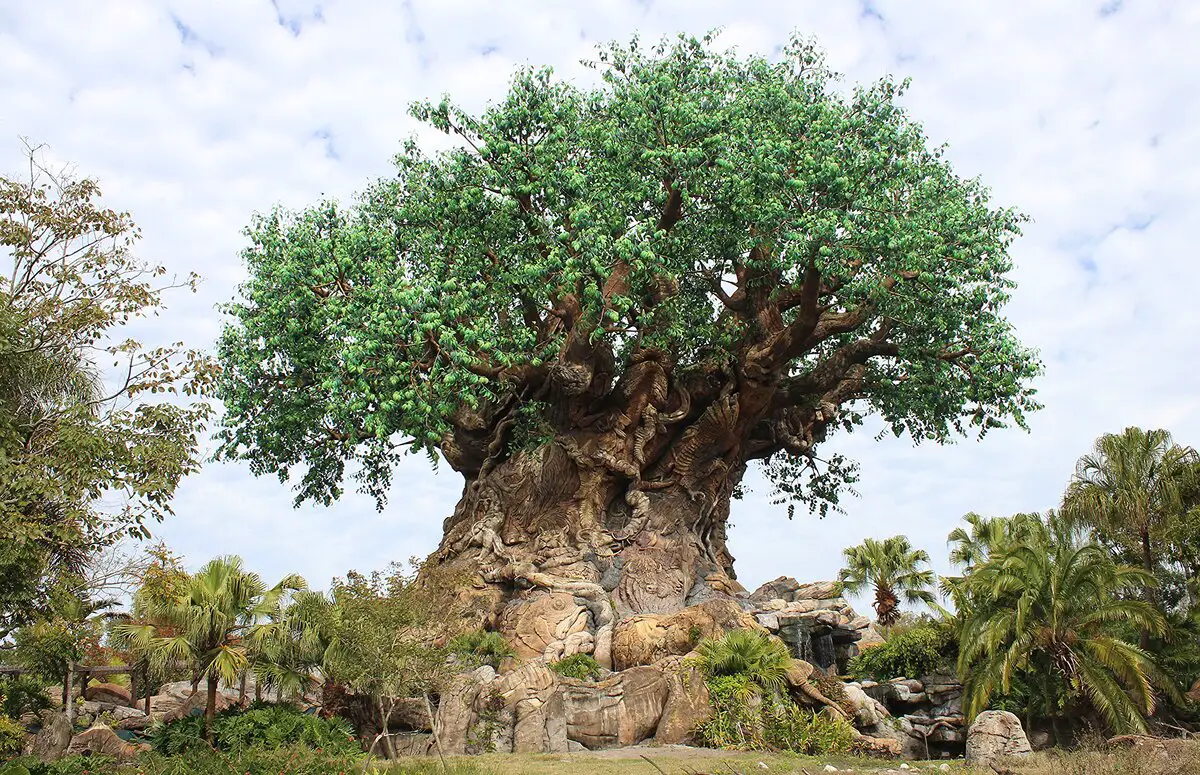 Tree of Life, Orlando