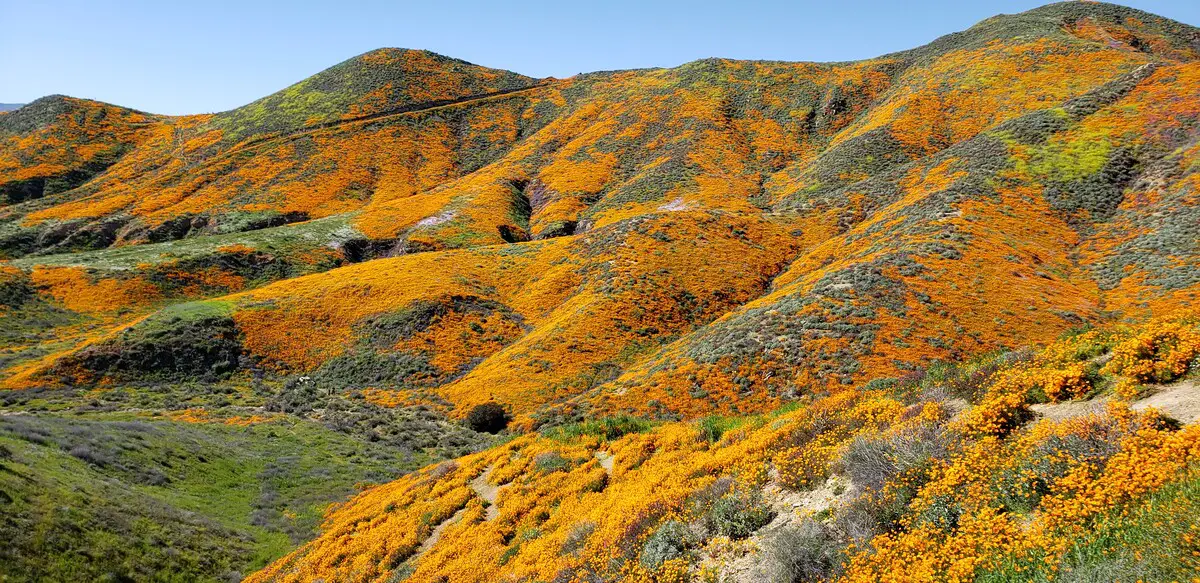 Walker Canyon, March 2019