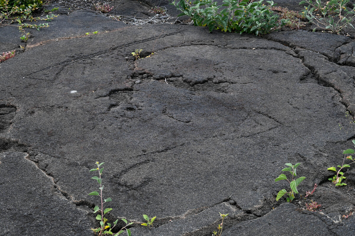 Honokohau petroglyphs - muskets