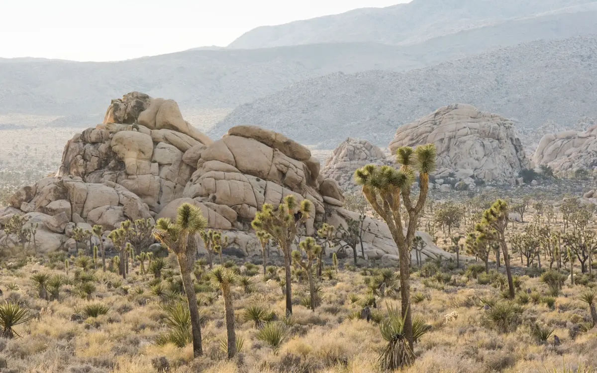 Lost Horse Valley