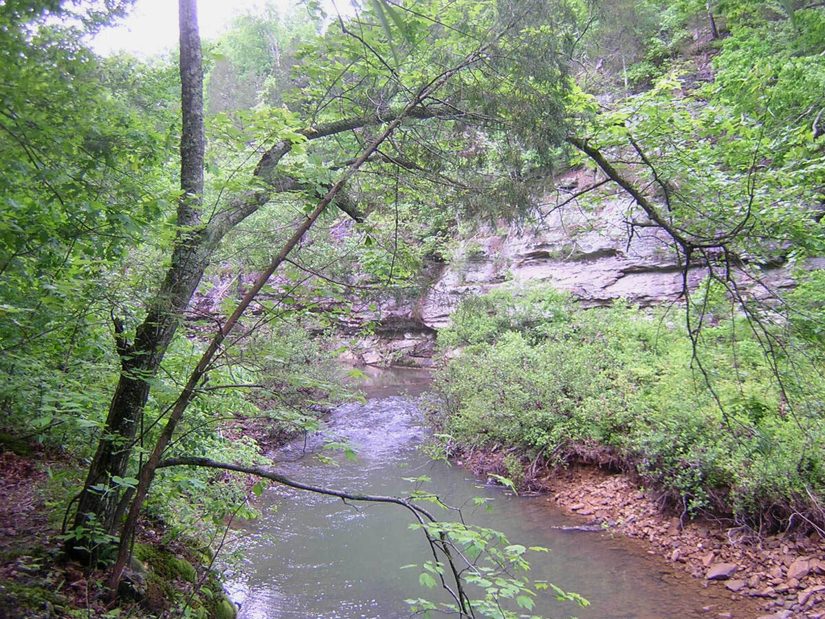 Lusk Creek Canyon