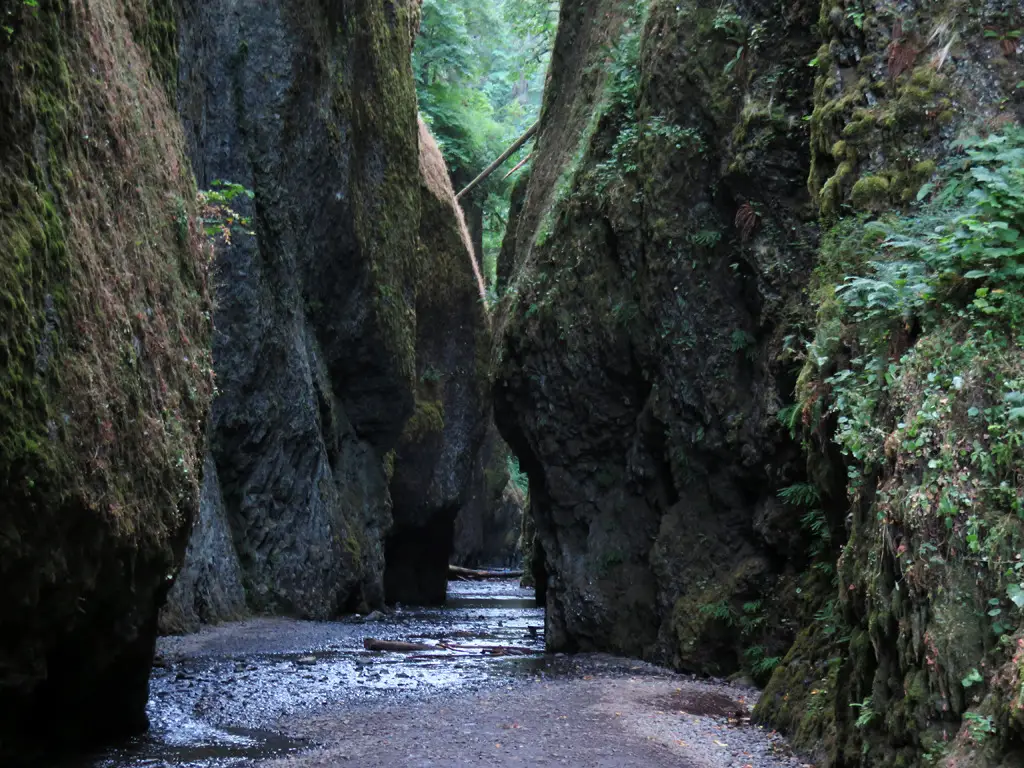 Oneonta Gorge