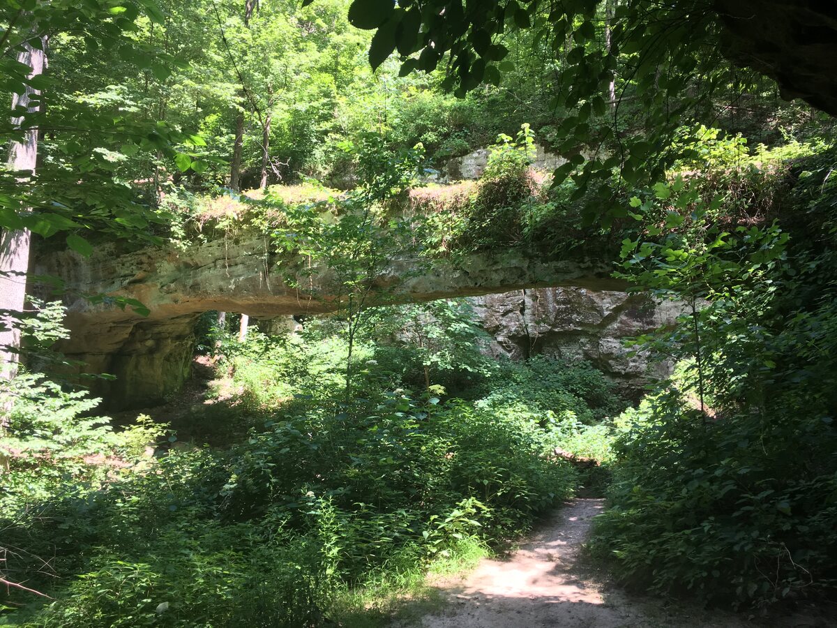 Pomona Natural Bridge
